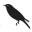 Shadow Birds logo