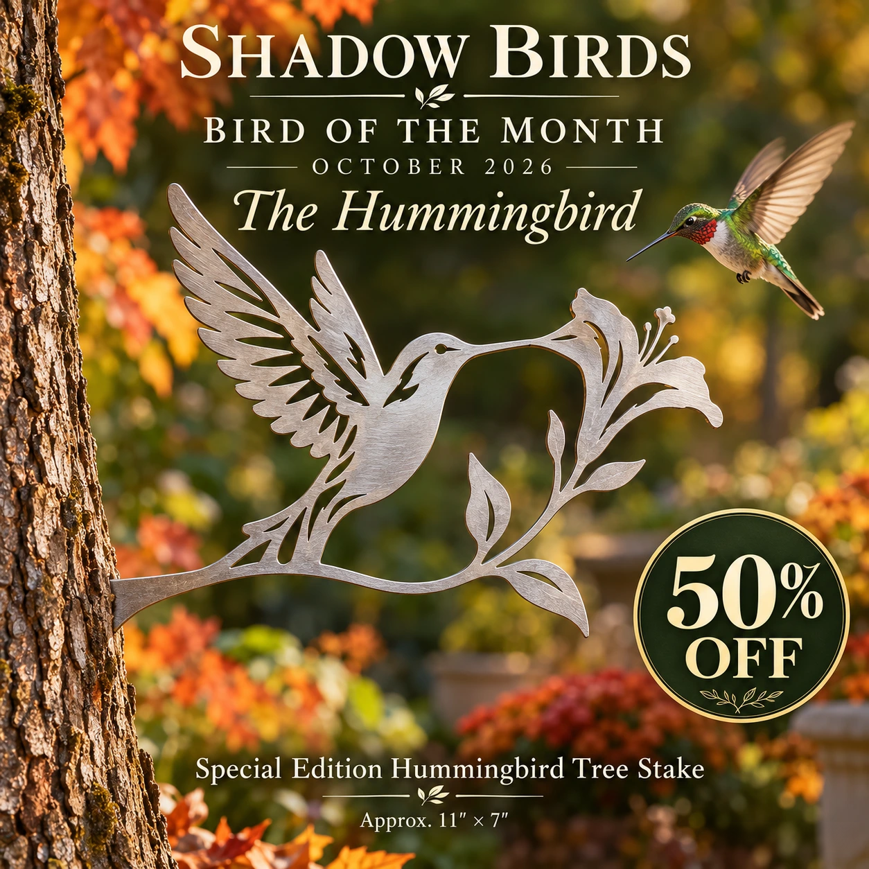 Shadow Birds Bird of the Month promotional artwork: silver hummingbird tree stake, 50% off