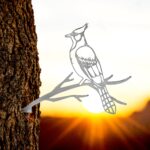 Blue Jay Stake