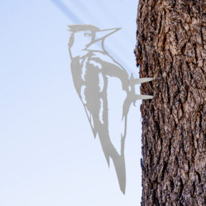 Woodpecker Stake