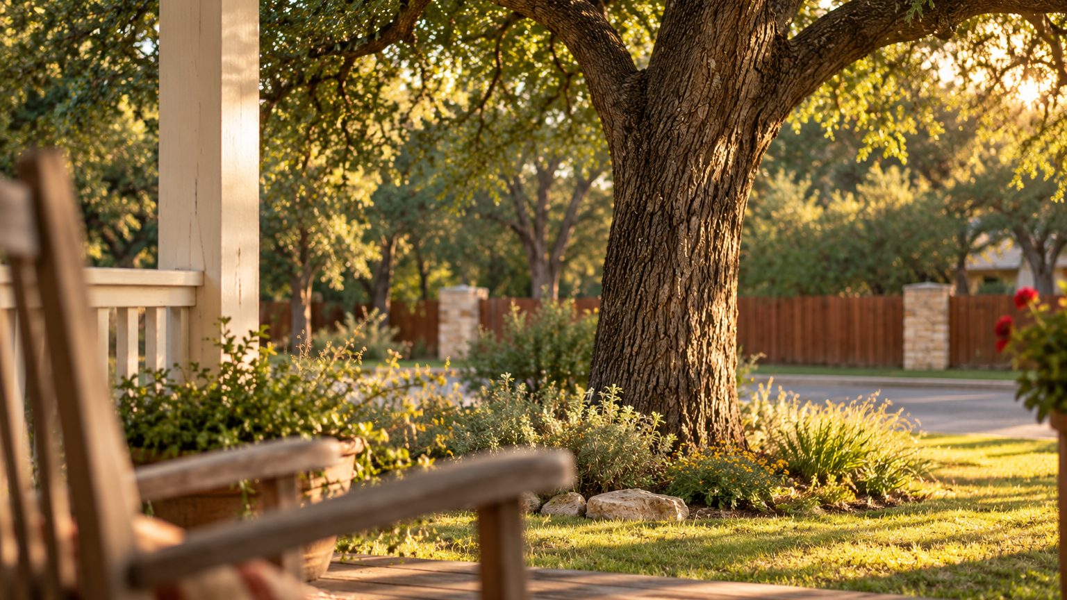 Yard art ideas: the view of a front-yard live oak from a wooden porch at golden hour